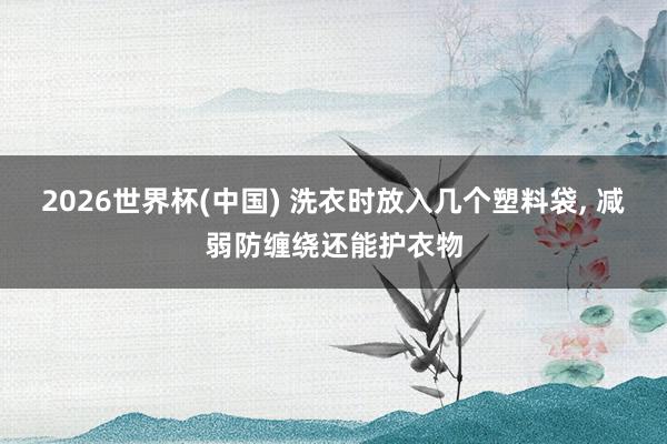 2026世界杯(中國) 洗衣時放入幾個塑料袋， 減弱防纏繞還能護衣物