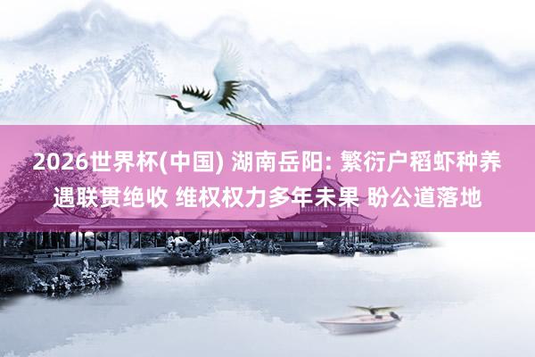 2026世界杯(中國) 湖南岳陽: 繁衍戶稻蝦種養遇聯貫絕收 維權權力多年未果 盼公道落地