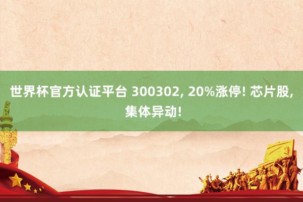 世界杯官方認證平臺 300302， 20%漲停! 芯片股， 集體異動!