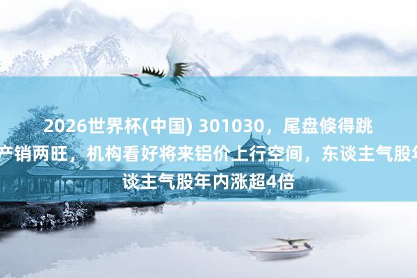 2026世界杯(中國) 301030，尾盤倏得跳水！鋁加工產銷兩旺，機構看好將來鋁價上行空間，東談主氣股年內漲超4倍