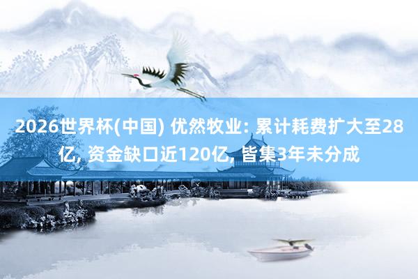 2026世界杯(中國) 優然牧業: 累計耗費擴大至28億， 資金缺口近120億， 皆集3年未分成