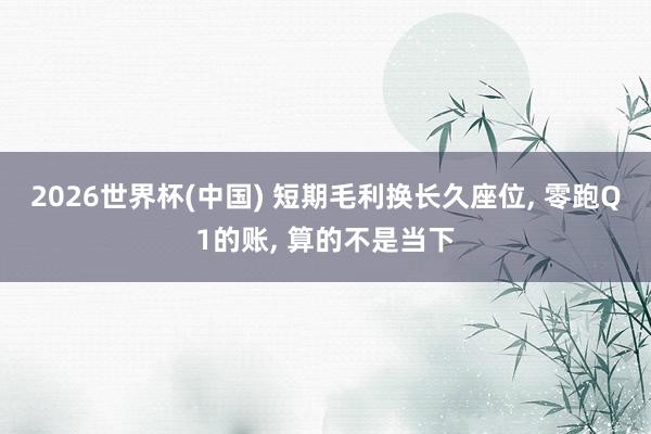 2026世界杯(中國) 短期毛利換長久座位， 零跑Q1的賬， 算的不是當下