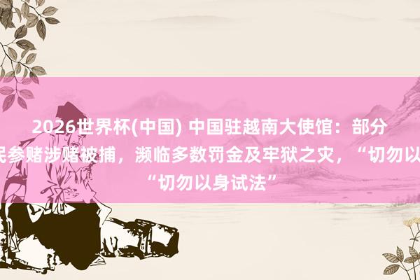 2026世界杯(中國) 中國駐越南大使館：部分在越公民參賭涉賭被捕，瀕臨多數罰金及牢獄之災，“切勿以身試法”