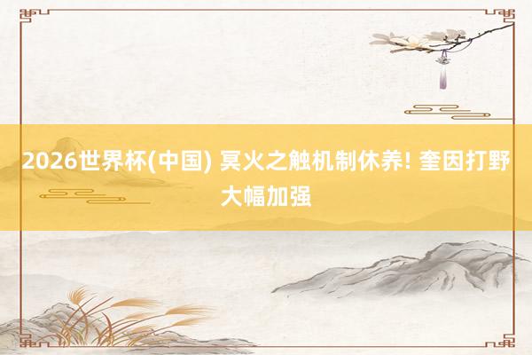 2026世界杯(中國) 冥火之觸機制休養! 奎因打野大幅加強