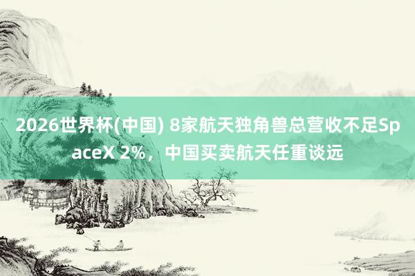 2026世界杯(中國) 8家航天獨角獸總營收不足SpaceX 2%,中國買賣航天任重談遠