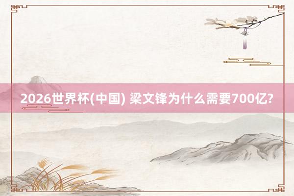 2026世界杯(中國) 梁文鋒為什么需要700億?