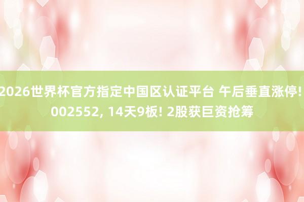2026世界杯官方指定中國區(qū)認(rèn)證平臺 午后垂直漲停! 002552， 14天9板! 2股獲巨資搶籌