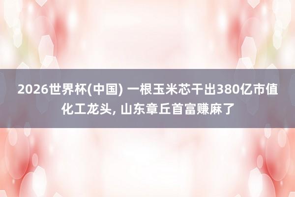 2026世界杯(中國) 一根玉米芯干出380億市值化工龍頭， 山東章丘首富賺麻了