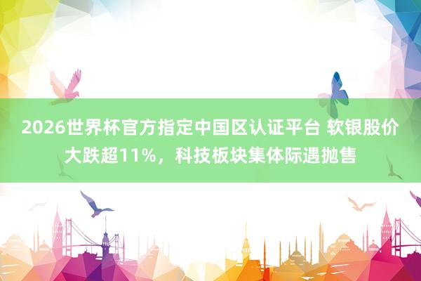 2026世界杯官方指定中國區(qū)認(rèn)證平臺(tái) 軟銀股價(jià)大跌超11%，